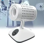 Laboratory Equipment,Electric Laboratory Autoclave,High Temperature Sterilization,for Test Tubes,Pipettes,Syringes,Tubes,Needles,Regulators,Scissors,Infrared Steriliser,900(diameter14mm)