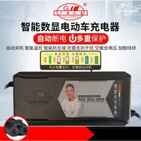 在飛比找蝦皮購物優惠-[changloria]台灣現貨 鉛酸電池充電器台灣插頭11