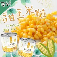 在飛比找樂天市場購物網優惠-爭鮮甜玉米粒