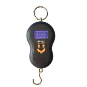 Pocket Portable Electronic Scale Load-bearing 40kg Mini Digital Hanging Luggage Scale Hook LCD Weight Weighing Scale Portable Weighing Tools