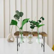 Plant Propagation Station Floral Containers Flower Pot Plants