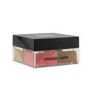 Givenchy Prisme Libre Mat Finish & Enhanced Radiance Loose Powder 4 In 1 Harmony - # 6 Flanelle Epicee 4x3g/0.105oz