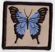 Quality Heat Sealed Embroidered Cloth Patch - Ulysses Blue Butterfly