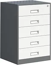 Home Office Steel Pedestal Storage Solution, Lockable Filing Cabinet with 5 Drawers (39 * 44 * 65cm)