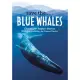 Save The...Blue Whales