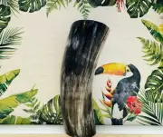 REAL HORN CUP FOR YERBA MATE Nº B17