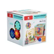 Top Bright Motor & Senses Garden 5n1 Wooden Activity Cube Toy FAST SHIP! J30