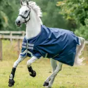 Horseware Amigo Bravo 12 Original Medium Turnout 250g