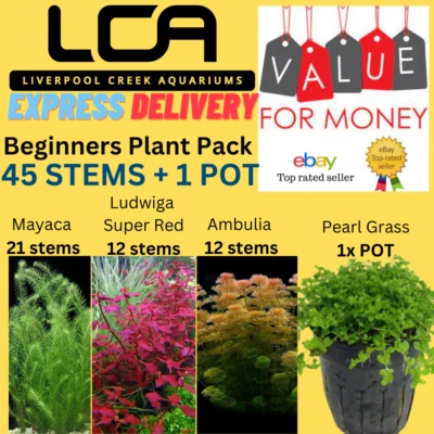 LCA - 45 STEMS + POT Live Aquarium Plants Pond Shrimp Fish Tank Pond Fertiliser