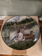 Collector's Plate "Pintail, The" by Jerner, Bart