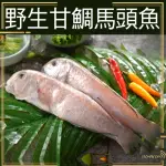 當季野生船釣鮮嫩馬頭魚超值優惠組