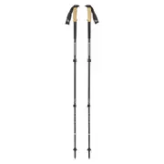 Alpine Carbon Cork S19 Trekking Poles