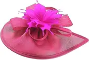 [Wzmzjy] Elegant Fascinator Hat Women Girls Cocktail Tea Party Vintage Headpiece Headwear Hair Accessories Headband
