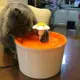 貓咪飲水機器寵物狗狗喂水器自動循環流動噴泉靜音小花飲水機濾芯