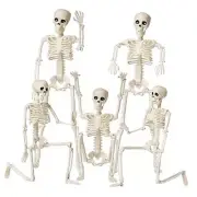 Halloween Skeletons Decorations, 16" Posable Plastic Skeleton 5 Packs, Full