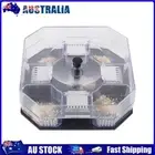 AU Roach Killer Trap Reusable Household Cockroach Harmless Pets Catcher Box