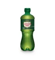 (3) Canada Dry GINGER ALE Soda Pop Soft Drink 20 oz Bottles