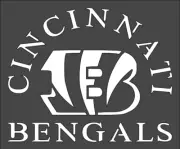 1- 4x5 inch Stencil (P-223) Cincinnati Bengals (6mil)