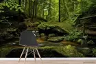 3D Forest Broom Wallpaper Wall Mural Removable Self-adhesive 296