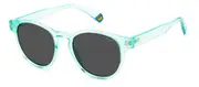 POLAROID-PLD 6175/S-5CB-5119-SUNGLASSES