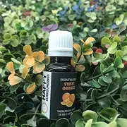 Sweet Orange Essential Oils ~ Pure Natural Aromatherapy Massage Oil - Therapeutic Grade - 100% Natural Incense - Pure essential oil (100ml)