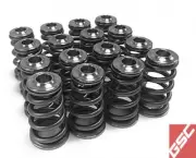 GSC P-D Conical Valve Spring and Ti Retainer Kit For Subaru EJ Series