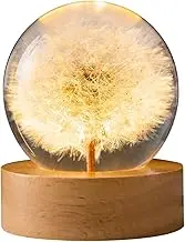 Preserved Dandelion Crystal Ball Night Light, 3D Crystal Ball Night Lamp with Wooden Base, USB Powered, for Men, Women, Kids, Boys, Girls, Teens Art Home Decorations Gifts (6CM, Dandelion)