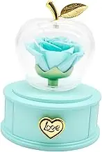Fiocias Real Rose Gift Set for Mom, Flower Box for Her and Women, Blue, as described