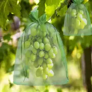 100pcs Bunch Protection Bag 30x20cm/10x15cm Grape Fruit Organza Bag With Drawstring Gives Total Protection-yay 15cm