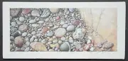 SIGNED print 12"x26" #16/100 Richard Jesse Watson w/1st Edition Waterfall's Gift