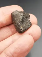 Meteorite Chondrite NWA 869 - 7,20g / 2,1cm Tindouf Algeria Nice fusion crust