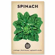 The Little Veggie Patch Co Spinach Heirloom Seeds