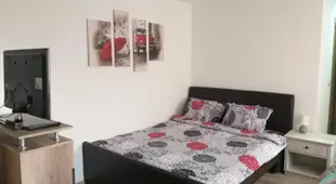 Viktoria Studio Apartman