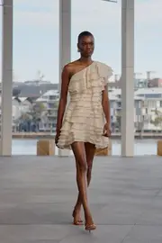 Rosaline Mini Dress