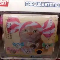 在飛比找蝦皮購物優惠-日本扭蛋 貓咪頭套