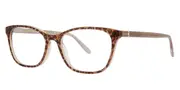 Vera Wang Miranda Cheetah Men's Glasses Tortoiseshell Size 52 - Private Health Rebate - Blue Light Block Available