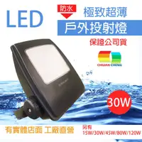 在飛比找蝦皮購物優惠-LED30W 戶外投射燈 擁有20年實體店面有保障 台灣工廠