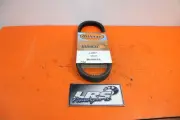 ULTIMAX UA428 BELT ARGO