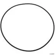 Gecko Alliance 92200301 Volute O-Ring XP2 - XP2E