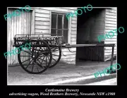 OLD POSTCARD SIZE PHOTO OF CASTLEMAINE BREWERY WOOD BROS WAGON NEWCASTLE c1900
