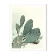 Aloe Framed Printed Wall Art - White