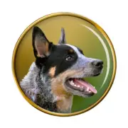 Australian Cattle Dog Lapel Pin Badge
