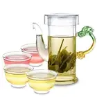 5in1 Tea Set - 1x 220ml Heat Resistant Clear Glass Flower Teapot + 4* 30ml cups