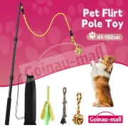 Cat Interactive Flirt Toy Pole Dog Play Wand Retractable Agility Training Stick