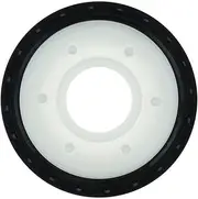 Crankshaft Rear Seal OSS0446