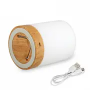 Touch LED Bedside Lamp Night Light Bedroom Desk Table USB Dimmable