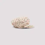 [Maison Michel] Maison Michel-Multicolor New Abby Cotton Hat-Donna S STAND