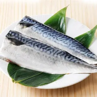 【金澤旬鮮屋】挪威-M薄鹽鯖魚-40片(115g/片;一包2片)