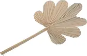 HOLIDYOYO Natural Dried Palm Leaf Fan Decoration Rustic Floral Arrangement Ornament for Wedding Party Home Decor and Event Styling Unique Dried Leaf Props for Vases and Wreaths