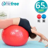 在飛比找momo購物網優惠-【Comefree】健康顆粒按摩球/瑜珈球/抗力球 65cm